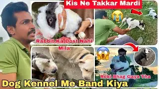 Dog Kennel Me First Time Kaid Kiya Roki & Luci Ko😳 Kisine Street Dog Ko Road Takkar Mardi |Rpk Vlogs