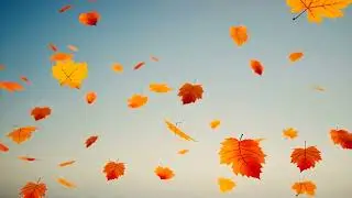 Golden Autumn Breeze 🍂 Anime Lo-fi Chill