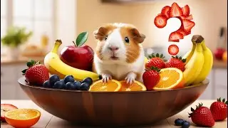 Can Guinea Pigs Eat Fruits? | Apples, Bananas, Grapes, Oranges, Strawberries, Blueberries & More!