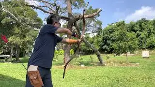 25m New Manchu Laminated Bow Shooting #traditionalarchery #thumbrelease