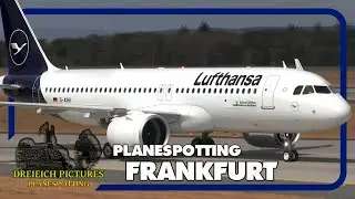 Planespotting Frankfurt Airport | August 2018 | Teil 1
