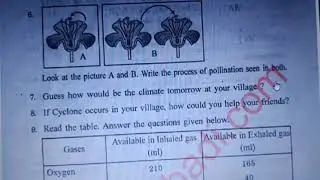 AP SA2 7th General science Question paper 🗞️ 2022