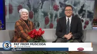 Answering your cold-weather plant questions