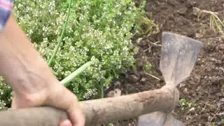 Matrice di sostenibilit&agrave; - HelpFood 4.0 - AGROECOLOGIA