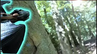 Toothless Toy Outdoor Showcase