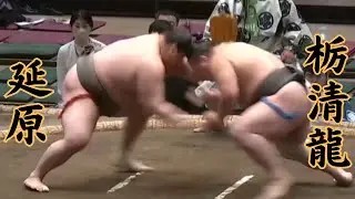 延原VS栃清龍(Nobehara-Tochiseiryu) 令和8年1月場所9日目 #sumo #相撲