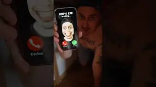 NikPig is calling!