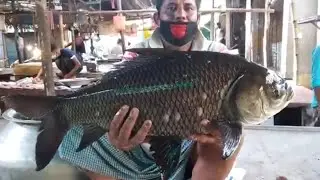 GARFA KOLKATA 🎏 MARKET