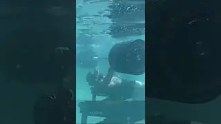 hiburan buat warga bumi😂 || funny video😁 #funny #meme #lucu #kocak #humor #fyp