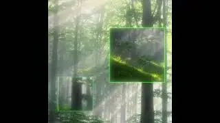 CurseWeb - Reality surf