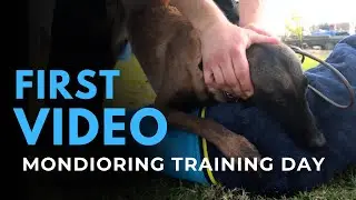 FIRST VIDEO - MONDIORING TRAINING
