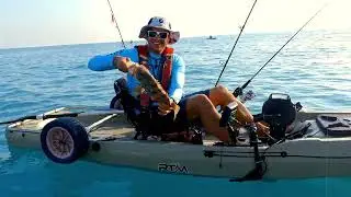 Fishing Kayak Tour on the Palm Jumeirah with SeaYou Watersports