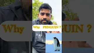 Oka Penguins 🐧 కథ | @Honest @Love @Nature @Hope