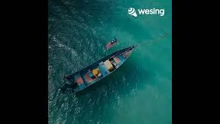       Wesing.   夜雨思情