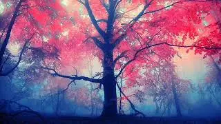 Llewellyn & Chris Conway - Magical Earth