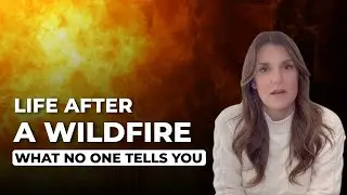 Life after a California Wildfire | What to do Next