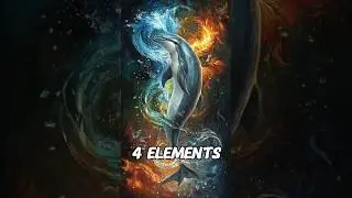 Dolphin Transformed: Watch It Become Earth, Fire, Water, and Air!