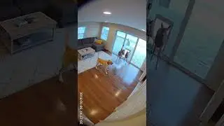 Deer in the Flooded Living Room 😳🦌 #explore #fyp #ai #pets #securitycam #karma