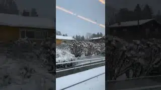 Snowing from past two days #foryoupage #norway #oslo #new #snow #snowfall #youtubeshorts #beautiful