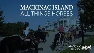 Mackinac Island - All Things Horses