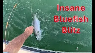 Insane Topwater Bluefish Blitz! Explosive Strikes on the North Fork | Fall Run Fishing 2025