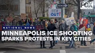 Minneapolis ICE shooting sparks protests in several major US cities