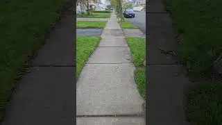 I WALK THE LINE #shorts #walking #johnnycash #music