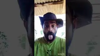  Memes &eacute;picos Os melhores memes engra&ccedil;ado/viral memes/se rir reinicia e j&aacute; deixa laike se inscreva 