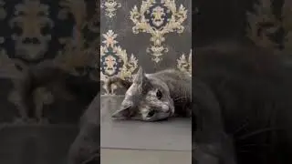 Глобальное потепление?