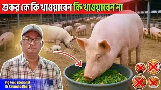 শুকরের আদর্শ খাবার কি কি_ Pig farming Latest Video _No 1 Pig farming training institutes in india