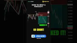 🔥 FAKEOUTS EXPOSED: How to Spot & Profit From Fake Breakouts (Price Action Strategy) 🔥