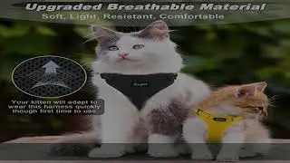 Supet Cat Harness and Leash Set for Small to Large Cats, Adjustable Cat Leash and Harness Set Escap