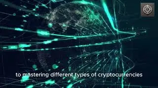The Ultimate Crypto Guide for Beginners