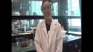 Chemical Kinetics of SN1 Reaction