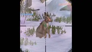 Snow hare Hunting #hunting #animals