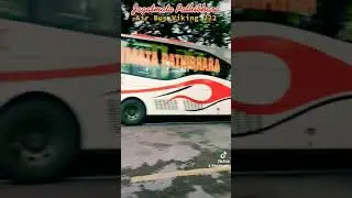 Buses Of Nepal l Viking 222 l Jagatmata Pathibhara l DavidVlogs l #Shorts