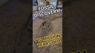 110 Million Year Old FOSSIL DISCOVERY #shorts