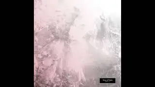 「Story of Hope」&mdash; Forever