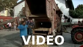 Sagra del fagiolo di Saluggia - Acciughe marinate di Comacchio - Corsa dei carrelli della spesa