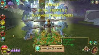 Wizard101 Ultra Tiger Lily Elder Harvest