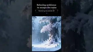 No rush. No noise. Just ambience.Daily peaceful videos 🤍