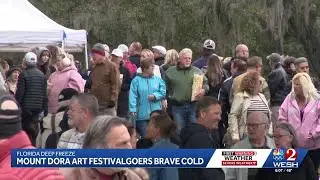 Cold and windy weather doesn't stop Mount Dora Art Festival