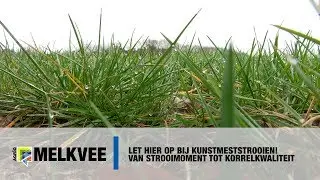Kunstmest strooien: waarop letten? Van strooimoment tot korrelkwaliteit