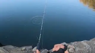 Jhuppi Fishing. Carp Fishing, Stone Mines Fishing. Rohu Fishing. Catla Fishing @OdiaAngler 🎣
