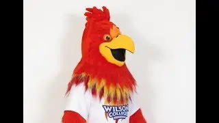 441470 Phoenix mascot costume