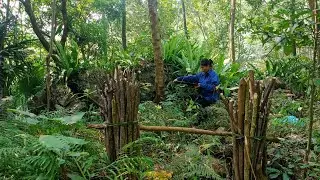 Enter the house in the forest to catch crabs and collect firewood, Cooking from mussels.