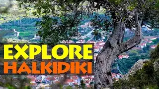 Προϊστορικός Οικισμός Θέση ΄Κούκος΄- Συκιά. Περπατώντας στο Παρελθόν. Μονοπάτια Χαλκιδικής