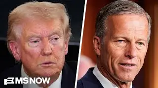 Thune 'tried to talk Trump out of' endorsing primary challenger to Cassidy: Source