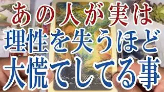 【3択恋愛タロット占い】あの人が理性を失うほど実は大慌てしてる事は？タロット・オラクルカード🩵個人鑑定級片思い・復縁・複雑恋愛・音信不通・疎遠・曖昧な関係をリーディング！