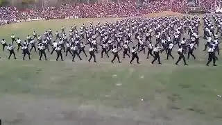 Zambia National Services live